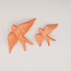 Andorinha Coral