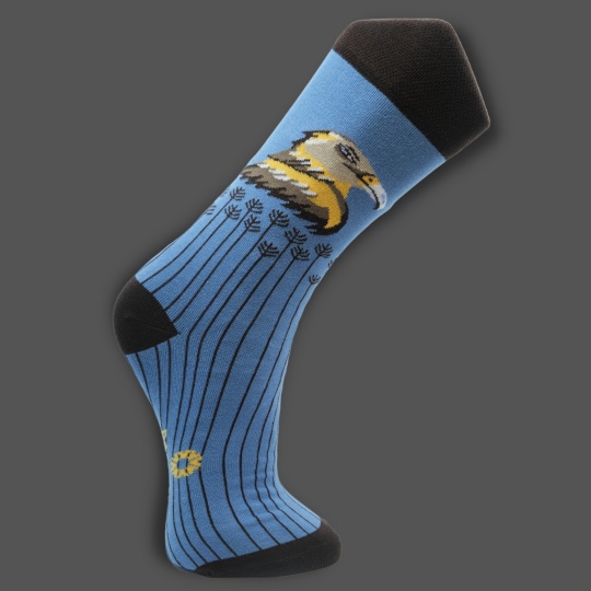 Iberian Imperial Eagle Socks - Image 3