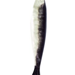 Bordallo Pinheiro Natural Sardine