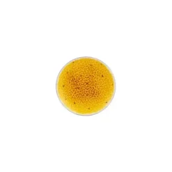 Prato Sobremesa Maracujá - Frutos Tropicais