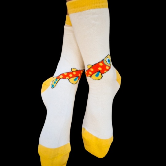 Children's Sardine Socks - Image 3