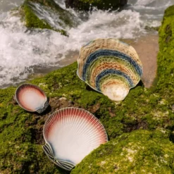 Dish - Oysters and Scallops - Image 8